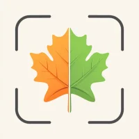 Plant Disease Diagnosis App